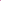 Blend - Vibrant Pink