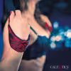 Calexotics Scandal Over the Door Swing - Image 2