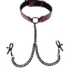 Saffron Collar with Nipple Clamps - Image 2